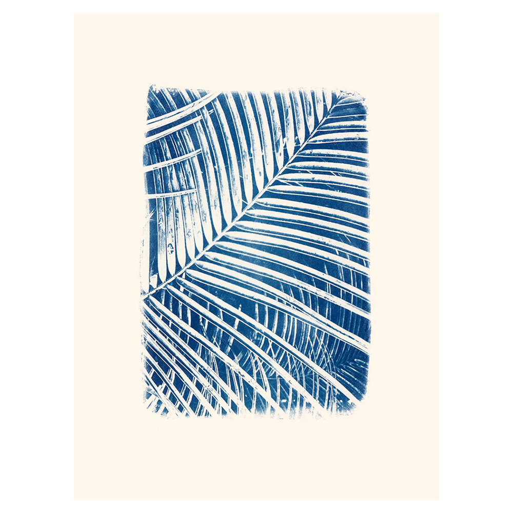 Affiche cyanotype "Feuille de Palmier" par Audrey Coppens