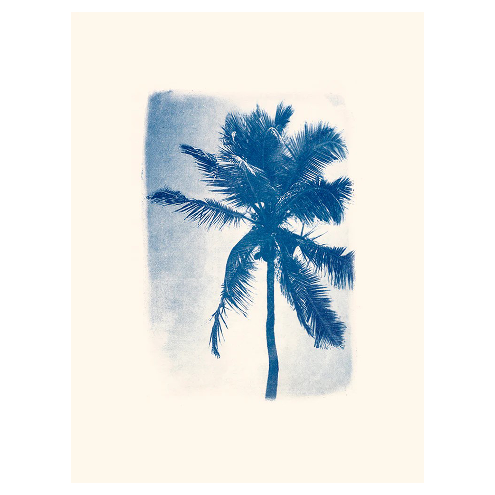 Affiche cyanotype "Palmier de Guadeloupe" par Audrey Coppens