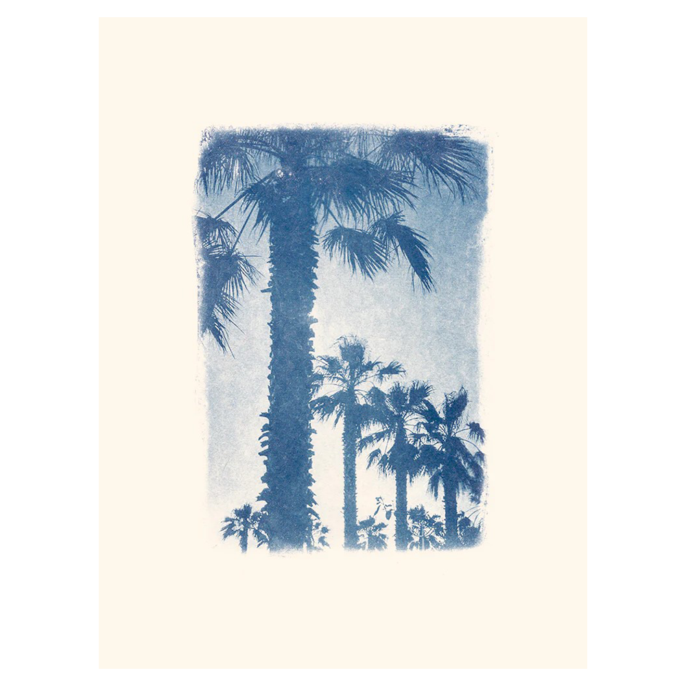 Affiche cyanotype "Palmiers de Saint-Aygulf" par Audrey Coppens