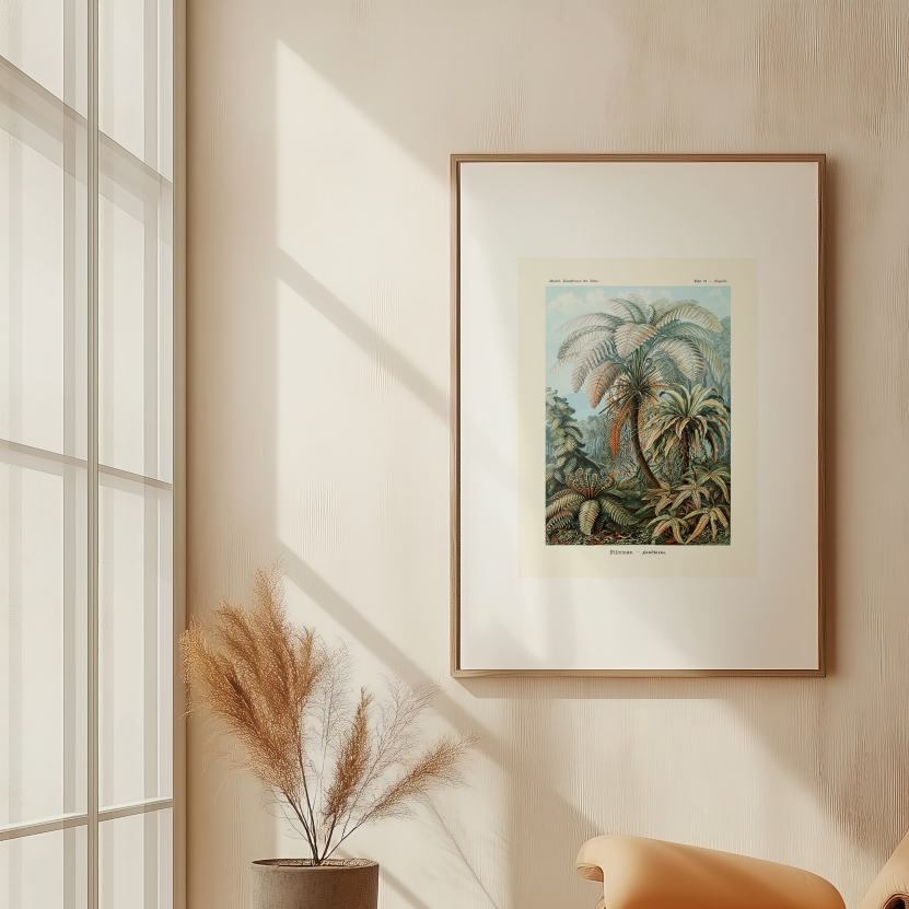"affiche "Filicinae" Ernst Haeckel en 1904 dans un salon "