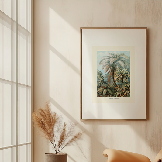 "affiche "Filicinae" Ernst Haeckel en 1904 dans un salon "