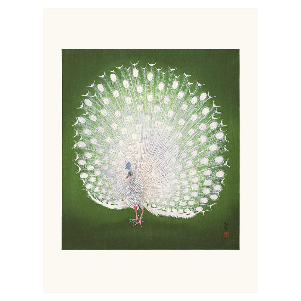 Reproduction estampe japonaise "Paon Blanc Majestueux" par Ohara Koson (1936)