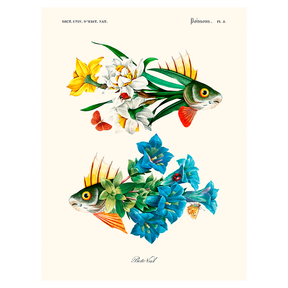 Affiche surréaliste "Poissons Pl. 8." par Beto Val