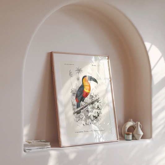 "Affiche "Toucan" - Illustration vintage naturaliste"